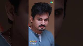 Malli Serial Shorts  Ep 85  5  Nikitha  Vijay  Saregama TV Shows Tamil shorts ytshorts [upl. by Harrell]