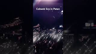 Cobweb live in Jhamsikhel [upl. by Nnayrb]