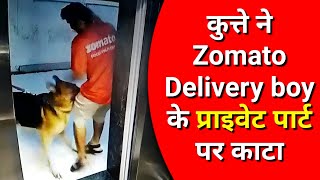 Dog Attacks amp bites Zomato Delivery Boy while getting out of the lift in Panvel Mumbai [upl. by Alilak655]