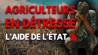 Agriculteurs en Détresse  L’Aide de l’État [upl. by Liamsi356]