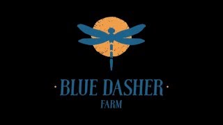 Blue Dasher Farm and farmers [upl. by Frederico76]