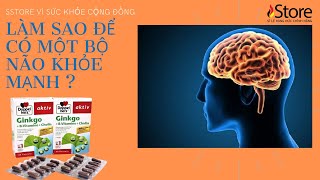 Bổ não GinkGo giúp một cơ thể khỏe mạnh Sstore [upl. by Summers]