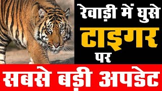 रेवाड़ी में घुसे टाइगर पर सबसे बड़ी अपडेट  REWARI TIGER UPDATE   REWARI NEWS   HARYANA NEWS [upl. by Clellan642]