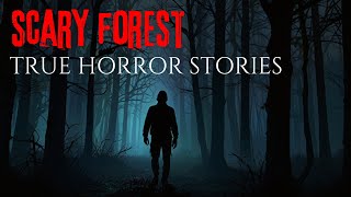 3 Disturbing True Forest Horror Stories [upl. by Robinia]