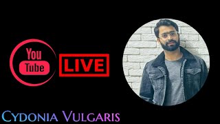 Livestream Dr Hub  Cydonia Vulgaris  Cydonia Vulgaris Homeopathic Medicine [upl. by Aiker]