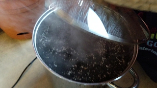 Steaming Potting Mix to Avoid Spider Mites and Fungus Gnats [upl. by Rasia]