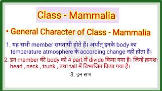 Class  Mammalia  General Character of Mammalia Zoology 2nd year in hindi  Magical think [upl. by Packer455]