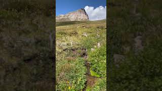 Colorado San Juan Mountain peak⛰️🥾🏞️🌞 Uncompahgre nature outdoors hiking colorado 14ers [upl. by Anerdna]