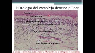 Patología Pulpar Periapical y Osteomielitis [upl. by Aret916]