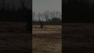 YZ125 2Stroke Wheelies yamaha yz125 2stroke wheelie blowthisup ineedviews [upl. by Yedrahs]