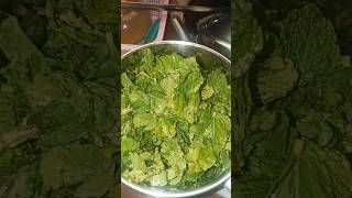 Pudina flavoured riceeasy to cook so tasty amp yummy 😋 must try ytshorts ricerecipe food [upl. by Eissen240]