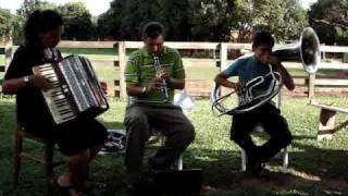 TOCATA CCB  FAMILIA TEIXEIRA [upl. by Dorette391]