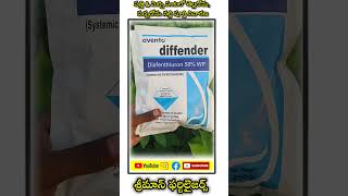 DIFFENDERshortvideoagricultureytshortsyoutubeshortstelugushortsaventoagrochemicals2024 [upl. by Tewfik93]