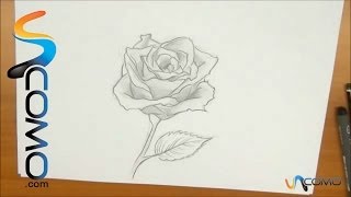 Dibujar una rosa [upl. by Veno]