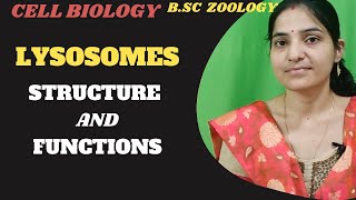 Structure And Functions Of Lysosomes bsc 1st yearLysosomespolymorphism in lysosomes [upl. by Leirbaj]