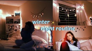 School Night Routine  Winter 2018 [upl. by Annahsar441]