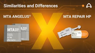 FACE OFF MTA Angelus vs MTA Repair HP [upl. by Ylak]