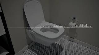 TOILET FLUSH  Sound Effect [upl. by Marnia942]