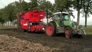 Dewulf R2060 2row trailed potato harvester [upl. by Ensign384]