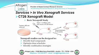 Altogen Labs CT26 Xenograft Service Colon Cancer [upl. by Leinaj]