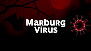 Marburg Virus Strikes Again shorts A resurgence emerges [upl. by Aiket646]