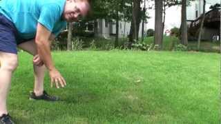 Compadre Zenith Zoysia grass Seed vs Plugs Part 3 How to plant seeds Maryland area [upl. by Alicsirp753]