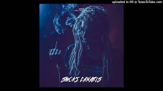 Smoke Canabis90 Favelas ft Ketane Jordas LentzLee Remix2024SWR  LOTB [upl. by Mccully]