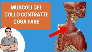 Muscoli del collo sempre contratti cosa fare [upl. by Shiff408]