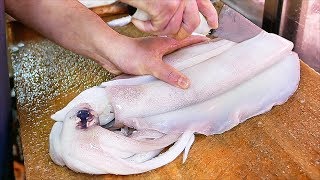 Japanese Street Food  GIANT SQUID Fried Calamari Sashimi Okinawa Seafood Japan [upl. by Valma]