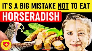 Horseradish Benefits Harm Risks Properties Recipe side effects and precautions [upl. by Afaw392]