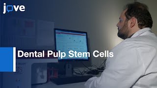 Dental Pulp Stem Cells Neuronal Differentiation  Protocol Preview [upl. by Nannarb]