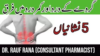 Kidney pain location on back  Kidney Pain  kidney pain symptoms  kidney pain vs back pain [upl. by Aramoj]