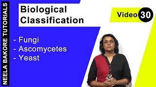 Biological Classification  NEET  Fungi  Ascomycetes  Yeast  Neela Bakore Tutorials [upl. by Akanke]