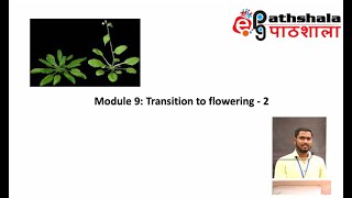 Module 9 Transition to Flowering  2 EPGPathshala [upl. by Ahsimat791]