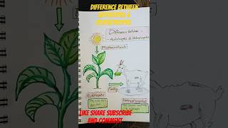 Difference between autotrophs amp heterotrophsviralvideo biology shorts videoshortsviral [upl. by Alamac278]