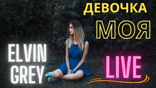 Elvin Grey  Девочка моя концерт выступление в Ташкенте живой звук LIVE [upl. by Imar]