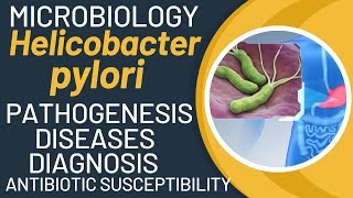 Helicobacter pylori pathogenesis  H pylori virulence factors  H pylori test [upl. by Maurits]