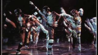 Cats the Musical Video Cast [upl. by Shaw21]