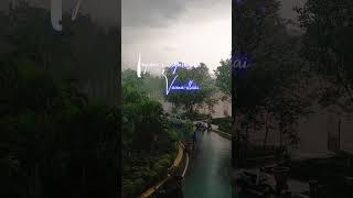 SV Arts College \\ Raining Vibe \\ trending latest viralshort svartscollege svartstirupati [upl. by Joaquin]