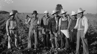 Why Braceros 1962 Mexican Guest Workers  Reel America Preview [upl. by Hedvah]