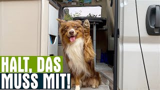 Wohnmobil mit Hund  Unsere Must Haves für den Wohnmobil Urlaub mit Hund Plus Checkliste [upl. by Ardnal]