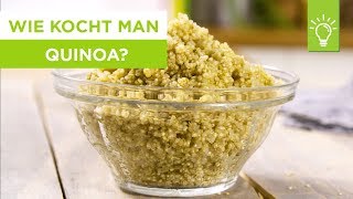 Wie kocht man Quinoa  Quinoa Rezepte  Tipps zum Kochen [upl. by Mayman937]