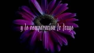 Gipsy Kings  Mi Corazon lyrics [upl. by Acinoev]