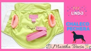 COMO HACERCHALECO PECHERA PARA CHIHUAHUA DIY [upl. by Asor]