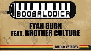 Fyah Burn feat Brother Culture  Unidub Estacion [upl. by Kazim]