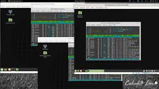 Linux Mint  Cinnamon VS Xfce VS MATE Laquelle pour un PC peu puissant [upl. by Ieso774]