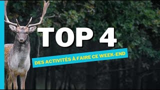 Que faire ce weekend dans la Marne lAube les Ardennes et lAisne [upl. by Grefe]