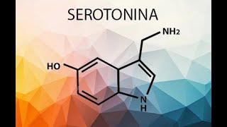 SEROTONINA [upl. by Llerrit732]