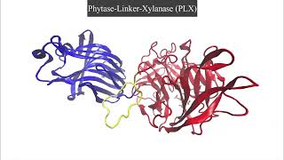 Chimeric xylanasephytase for improved thermal tolerance of feed enzymes [upl. by Ajnot206]