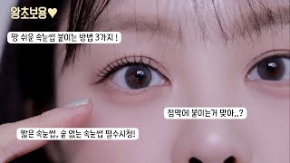 마스카라 보다 쉬운 가닥 속눈썹  통짜 속눈썹 붙이는 꿀팁 총 모음✨제품 소개부터 붙이는 부위 재활용 까지  SAEYAN 새얀 [upl. by Adao]